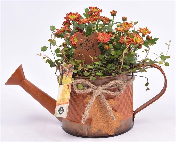 <h4>Zink gieter met herfst blad 12cm</h4>