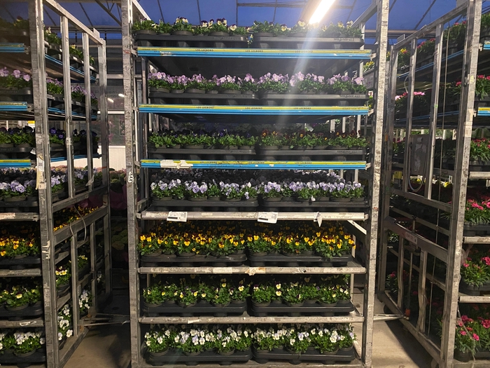 <h4>VIO CO MIXK</h4>