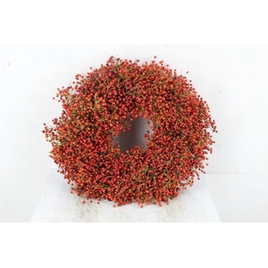 WREATH ROSA ORANGE