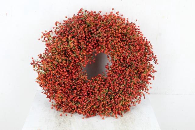 <h4>WREATH ROSA ORANGE</h4>