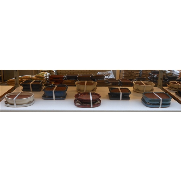 <h4>empty bonsai pots + plates, 19-22 cm. 8 pcs per box</h4>