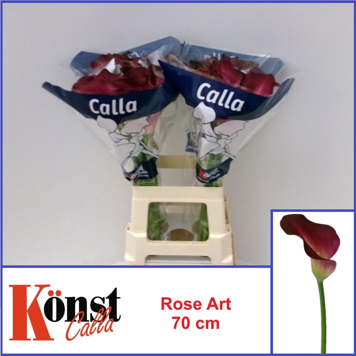 <h4>ZANT ROSE ART</h4>