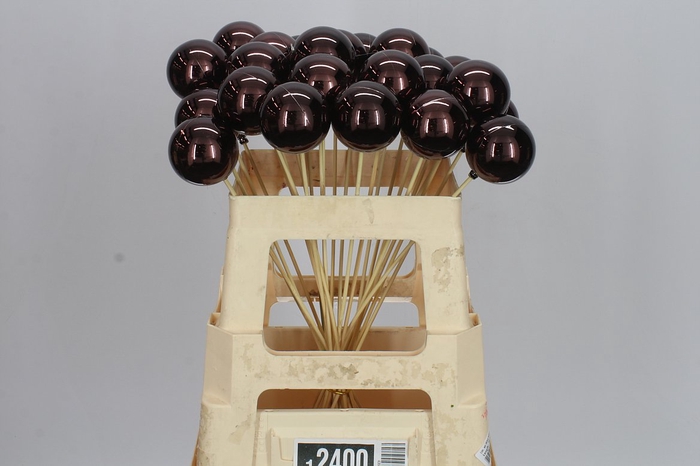 <h4>X-mas Balls Wine X25</h4>