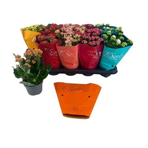 Kal Ge Gem 5 Kl P10,5