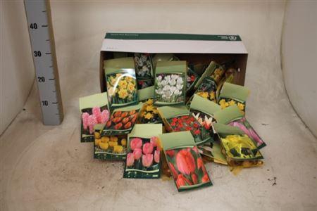 <h4>arr8 Bloembol Ov Mixbox</h4>