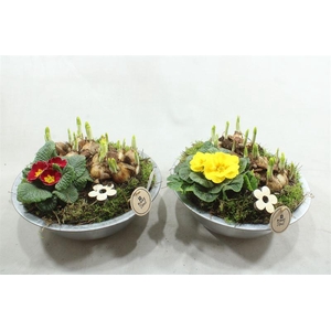 1128 ZINK ANTIEK TUINTJE