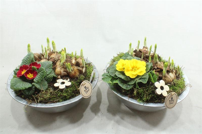 <h4>1128 ZINK ANTIEK TUINTJE</h4>