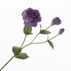 Lisianthus Purple FL440373PRP