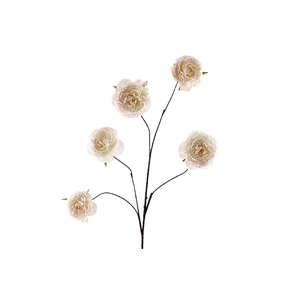 Cabbage Rosa Spray Beige