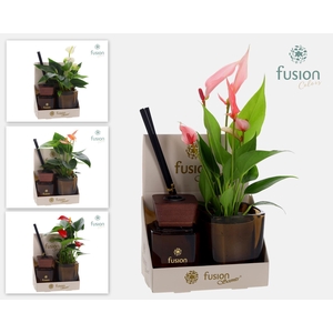 Glazen pot geurstok groen met Anthurium.