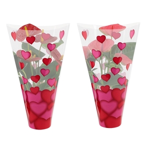 Anthurium 12 cm Red & Pink mix in Lilly heart sleeve