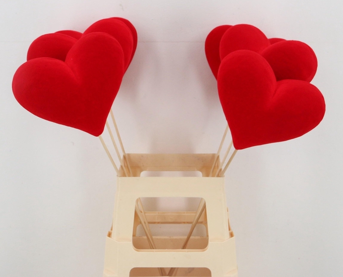 <h4>HARTJE OP STOK H%</h4>