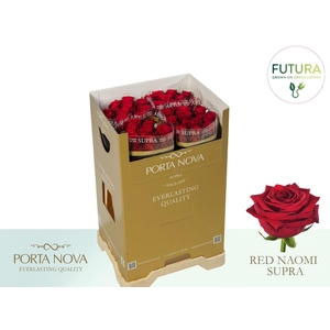 R GR RED NAOMI! SUPRA - Futura 60 - Futura