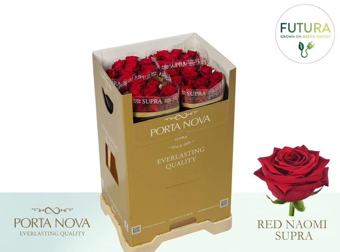 <h4>R GR RED NAOMI! SUPRA - Futura 60 - Futura</h4>