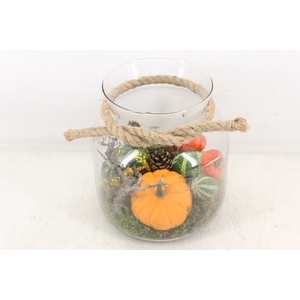 arr4 Sierfruit MB - Glas candy touw x6