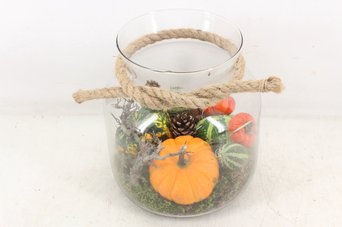 <h4>arr4 Sierfruit MB - Glas candy touw x6</h4>