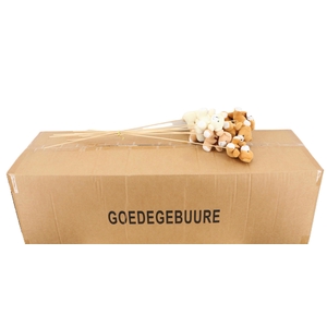 HUIS EN TUINDECO H%