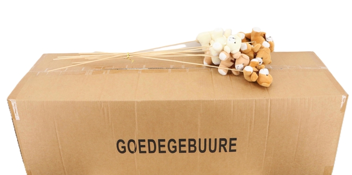 <h4>HUIS EN TUINDECO H%</h4>