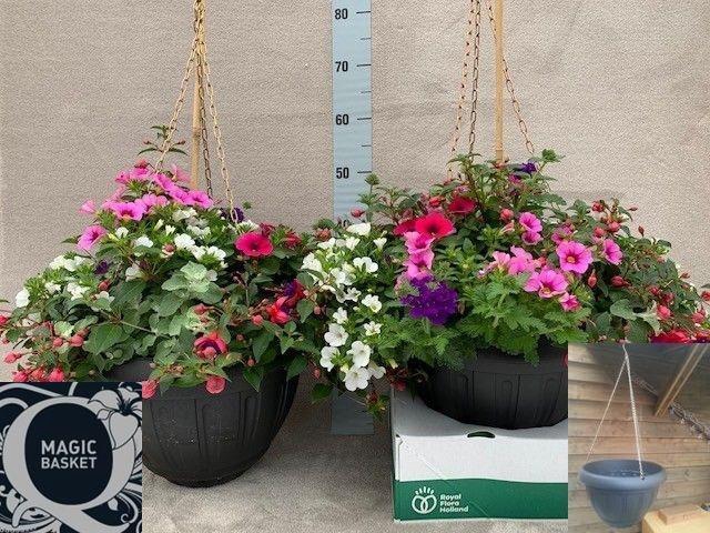 <h4>PERKPL TOEF 5 KL</h4>