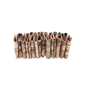 Vase Birch 5 Tubes L20W6.5H8
