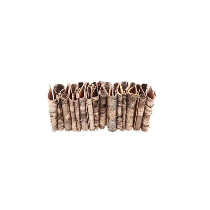 <h4>Vase Birch 5 Tubes L20W6.5H8</h4>