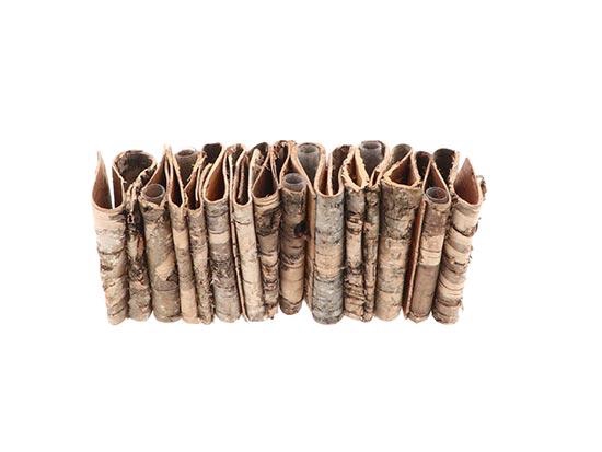 Vase Birch 5 Tubes L20W6.5H8