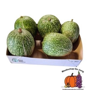 <h4>CUCURBITA (KALEBAS)</h4>