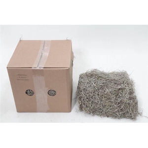 Tillandsia Grof (p. Bos)