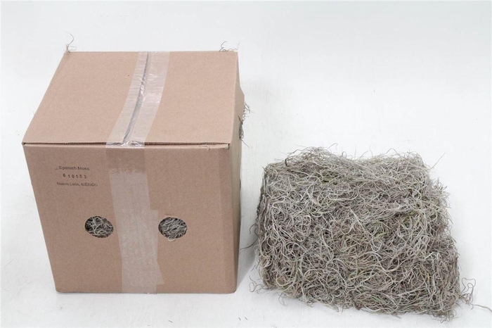 <h4>Tillandsia Fijn (doos)</h4>