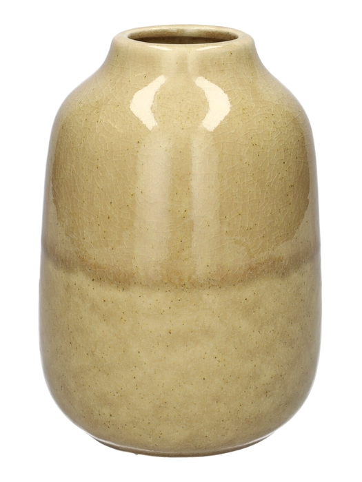<h4>DF03-741357000 - Vase Norell d7.3/15xh21 beige</h4>