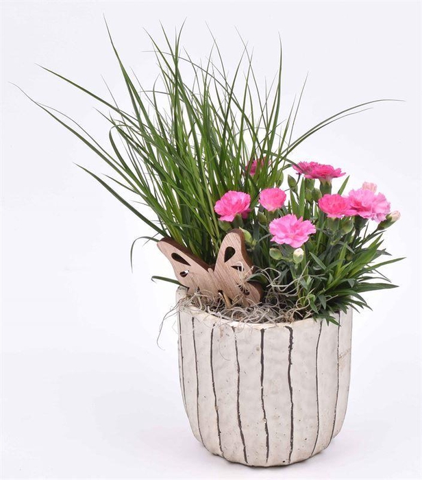 <h4>Cement pot ribbel ww14cm</h4>