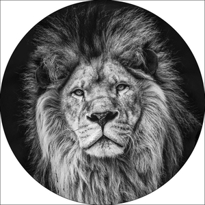 Frame Glass Ø50cm Lion 93719