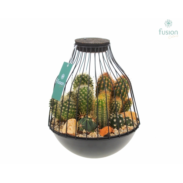 <h4>Vogelkooi metaal zwart Large met Cactussen met LED</h4>