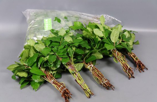 SALAL TIPS (5 Bos per zak)