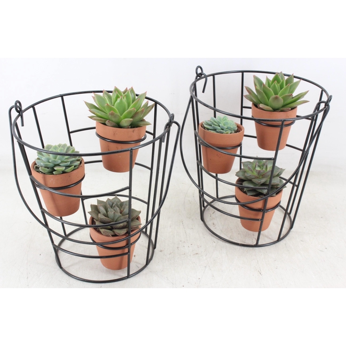 <h4>Arr2 Pl - Emmer Frame 3 Terra Potjes</h4>