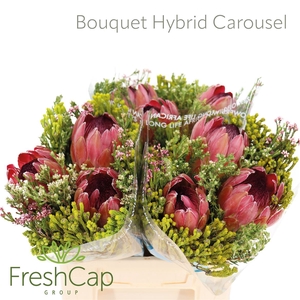 Bouquet Hybrid Carousel