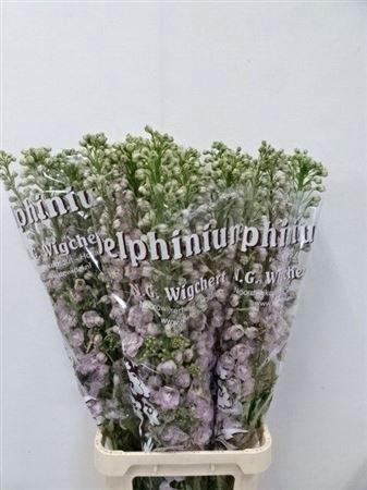 <h4>Delph Du Dew Pink Spijker</h4>