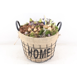 arr4 Bollenmix MB - Draadmand home XL