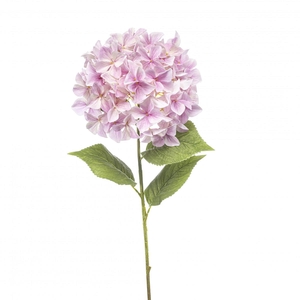 Hydrangea 90cm