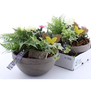 ARR TUINPLANTEN