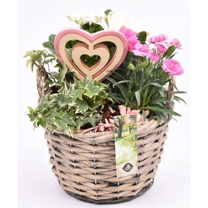 Wilg mand grijs met oor 18cm