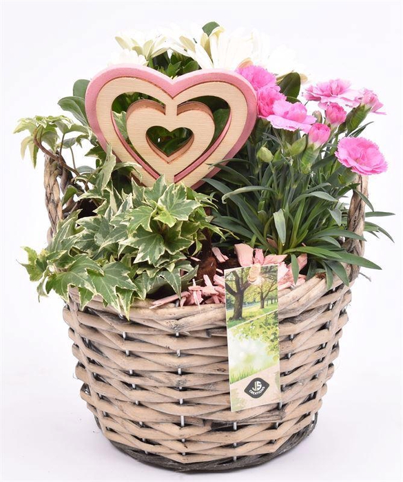 <h4>Wilg mand grijs met oor 18cm</h4>