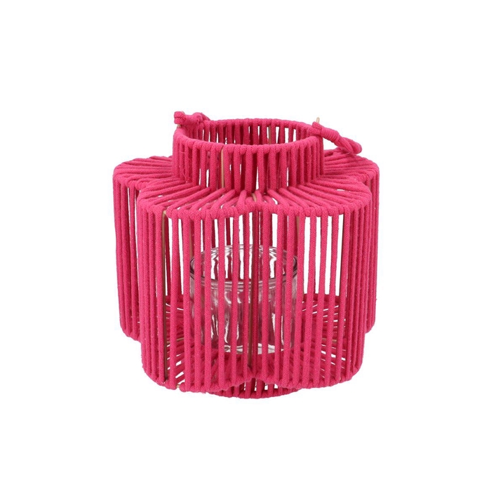 <h4>Cruz Fuchsia Lantern Flower Long 15x28x27cm</h4>