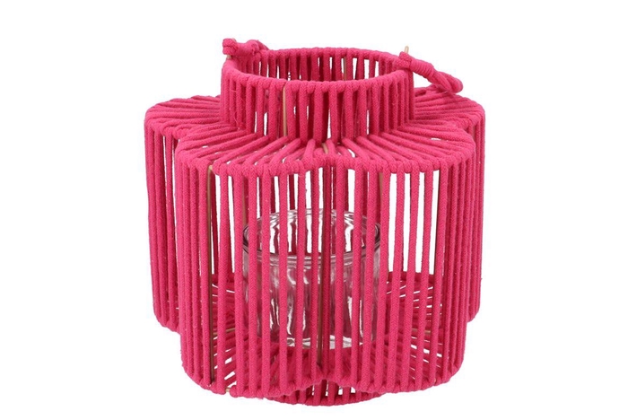<h4>Cruz Fuchsia Lantern Flower Long 15x28x27cm</h4>