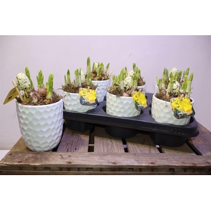 arr8 Arr N Tete A Tete In Wit Keramiek