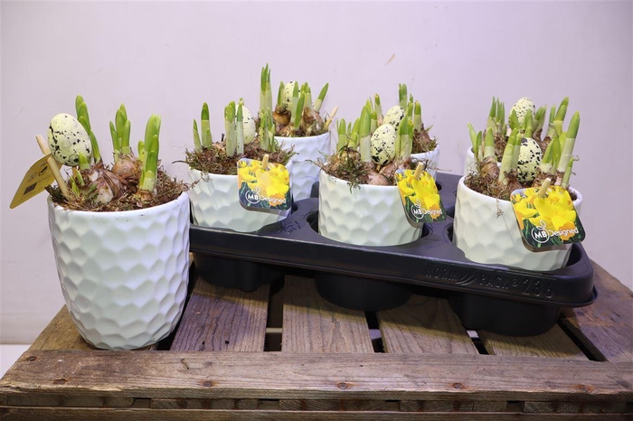 <h4>arr8 Arr N Tete A Tete In Wit Keramiek</h4>