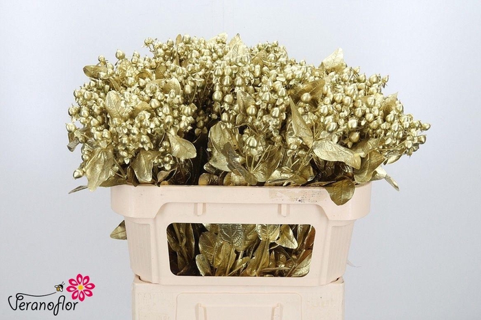 <h4>HYP OV KLB H%</h4>