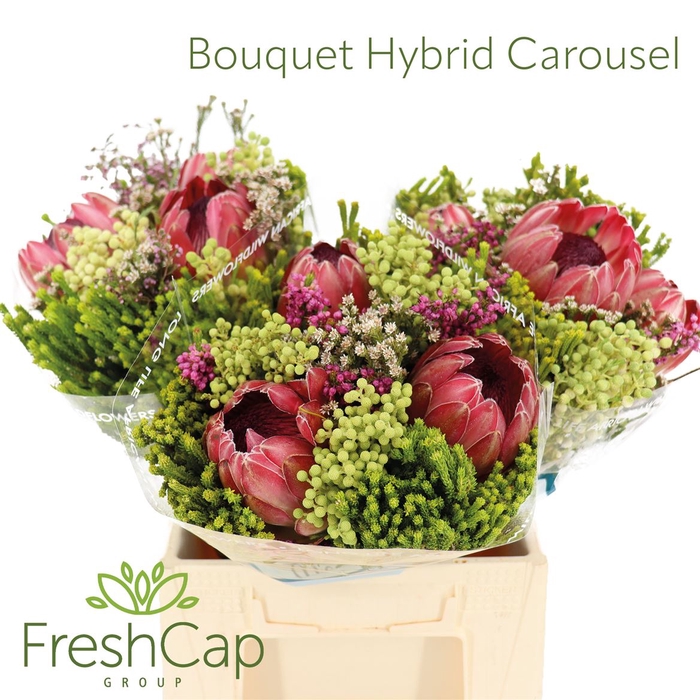 <h4>Bouquet Hybrid Carousel</h4>