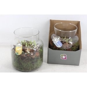 arr4 Bollenmix PL - Glas in giftbox