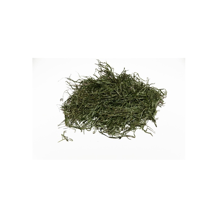 <h4>FORESTMOS MOSGROEN 200GR</h4>